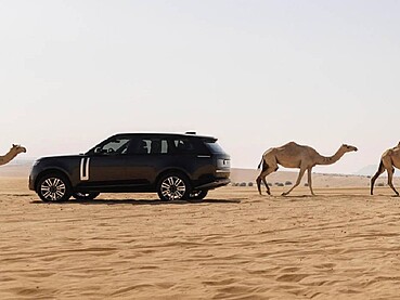Urban Luxury vs Desert Capability: Is the Range Rover the Ultimate All-Rounder in Dubai?